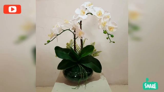 Koleksi Gubahan Orchid by Sakura Miyami смотреть онлайн