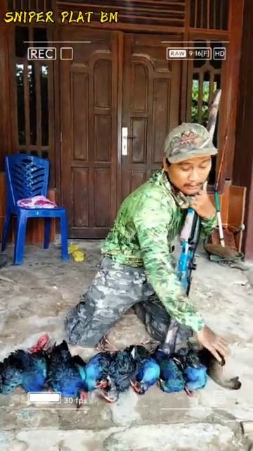 Berburu Mandar Biru Bonus Belibis di Spot Andalan смотреть онлайн