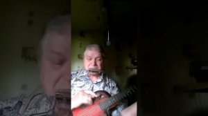 Мирные свободные Лебеди. слова и муз  .Николай Кенор Испол автор - Николай Кенор.Для подписчиков