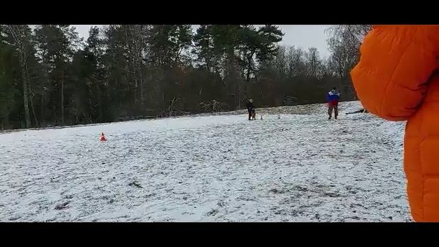 2.  выражено/перв OCEAN V. EDELWEISS (Ibor v. Huhnegrab – Dumma v. Roosvec)