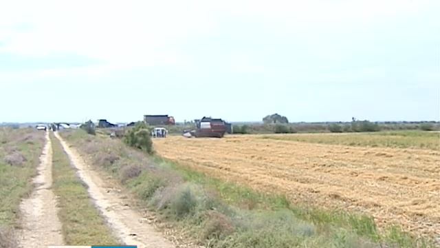 Сельхозработники готовы к уборке риса 13.09.18 г смотреть онлайн