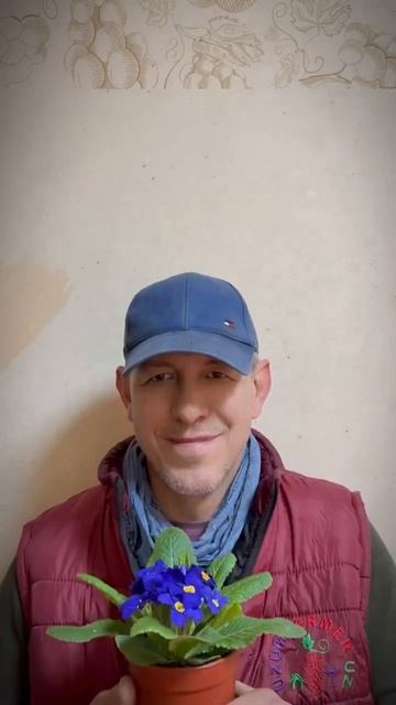 Поздравляем милых девушек с 8 марта! #uzumfermer #8марта