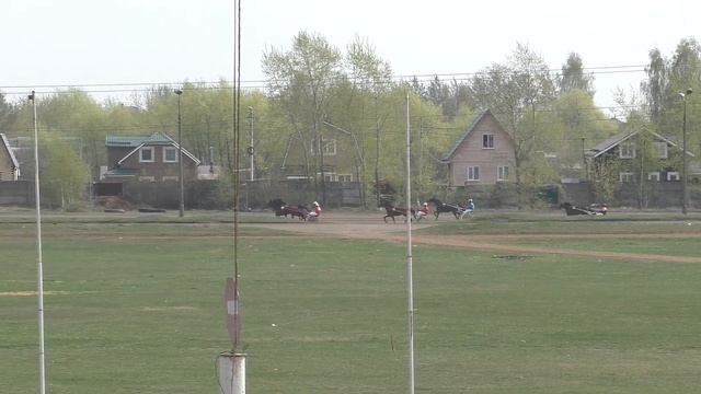 2 Раменский ипподром 27.04.19 - Лошади рожд. 2017г. рысистых пород смотреть онлайн