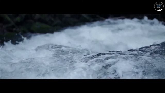 Two Steps From Hell - Victory | Dant3s Remix | 🎧 K.C. AlbiTroaz Edit 🎧 смотреть онлайн