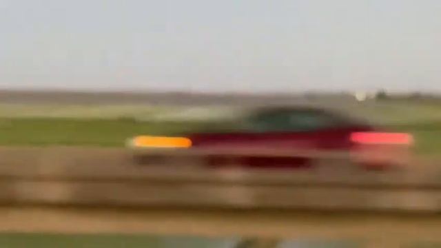 Рисовые поля Калифорнии