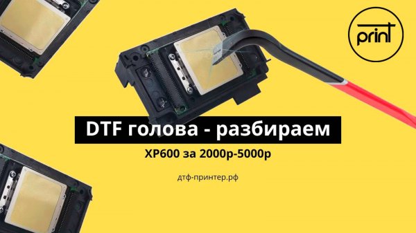 ️Разбираем голову в DTF принтере, смотрим манифолд. Epson xp600 #dtf  #printhead