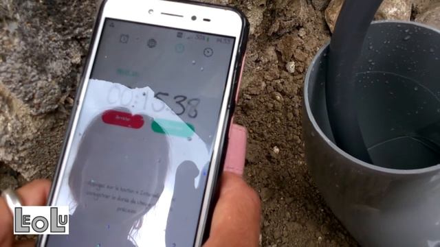 Évacuation des eaux pluviales du toit et de la terrasse смотреть онлайн