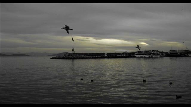 Hakan Celik - Rabbim bana bir Dert vermis смотреть онлайн