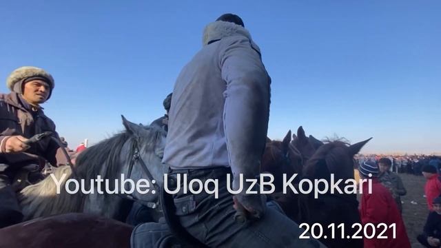 Yurtimizning mashxur polvoni Qobil Polvon Sirdaryoda TOY + 500000 sum ga Tashladi 20.11.2021 смотреть онлайн