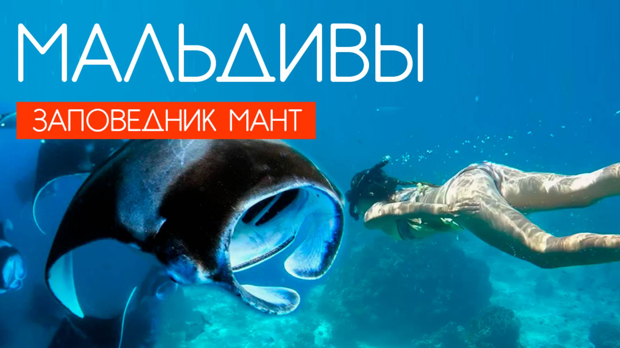 МАЛЬДИВЫ 2025. МАЛЬДИВЫ ДЕШЕВЛЕ ЧЕМ ТУРЦИЯ. ТОП ЭКСКУРСИИ НА МАЛЬДИВАХ. ЗАПОВЕДНИК МАНТ HANIFARU смотреть онлайн