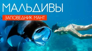 МАЛЬДИВЫ 2025. МАЛЬДИВЫ ДЕШЕВЛЕ ЧЕМ ТУРЦИЯ. ТОП ЭКСКУРСИИ НА МАЛЬДИВАХ. ЗАПОВЕДНИК МАНТ HANIFARU