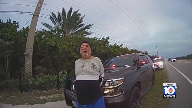 Video shows howling Florida man threatening to rape police dog during traffic stop смотреть онлайн