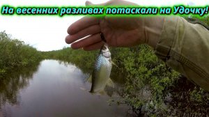 Отличная рыбалка! Сорожка на удочку по весенним разливам.