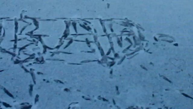 Я, школа, это