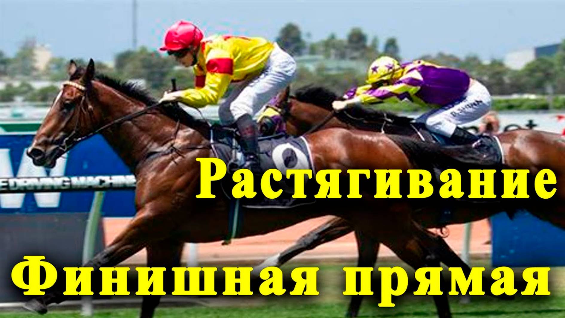 РАСТЯГИВАНИЕ / Финишная прямая