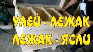 УЛЕЙ - ЛЕЖАК.  ЛЕЖАК - ЯСЛИ.