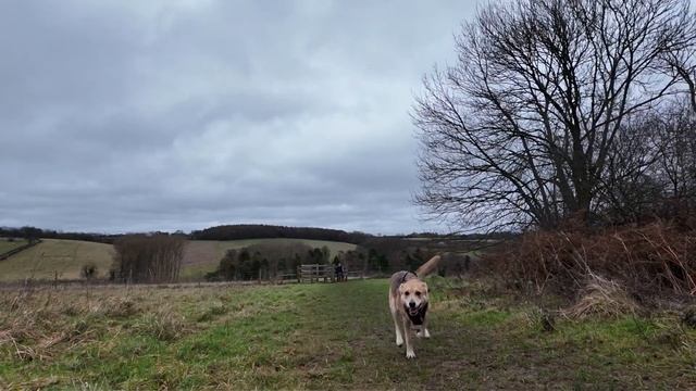 Джови в замедленной съемке (Jovie running - slow motion) смотреть онлайн