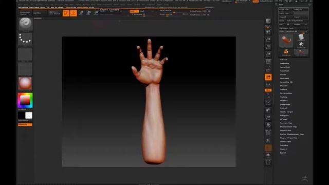 ZBrush Turn Around - Forearm and Hand смотреть онлайн
