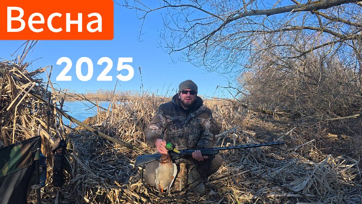 Открытие Весенней Охоты на Селезня с подсадной уткой!