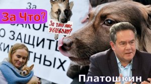 Николай Платошкин: _В ОТВЕТЕ за тех КОГО ПРИРУЧИЛИ... Что предлагает Останина...