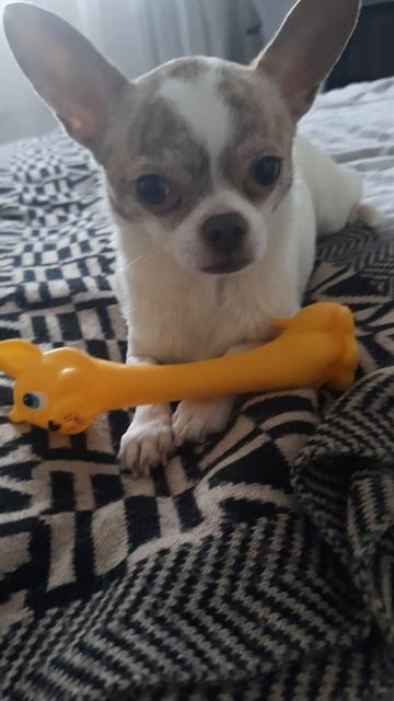 Мини-клип с Джеком "Зелёные волны" смотреть онлайн