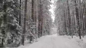 КОРОЛЕВА СНЕЖНАЯ ты такая нежная