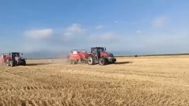 Bailing now this afternoon! смотреть онлайн