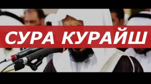 СУРА КУРАЙШ СЛУШАТЬ КОРАН ПЕРЕД СНОМ И УТРОМ