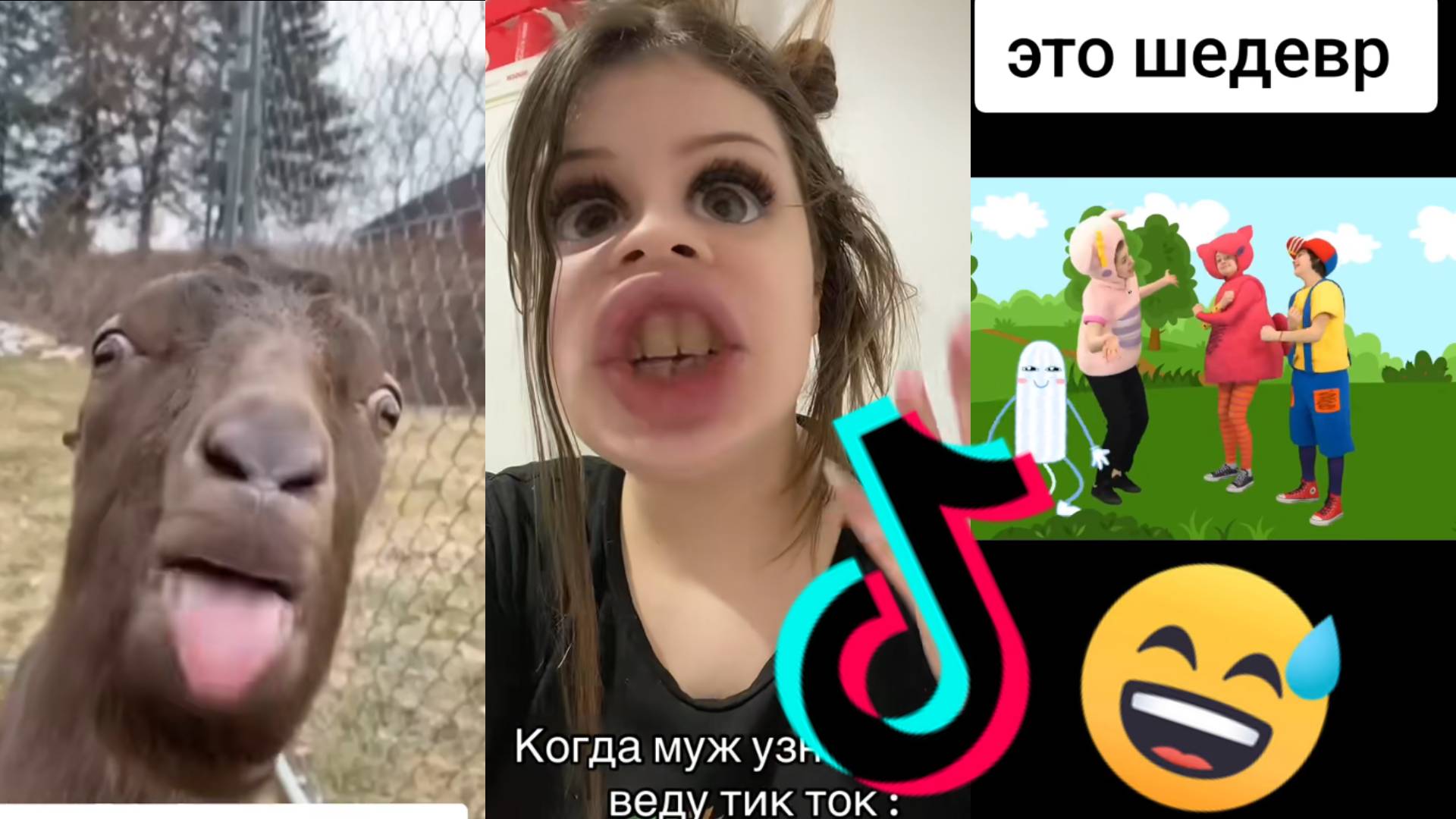 Приколы TikTok 🤣🔥🔥🔥🤣 Новая подборка 2025 #2