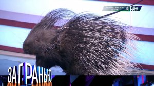 «За гранью»: «Фантастические твари» | Выпуск от 20 марта 2025 года