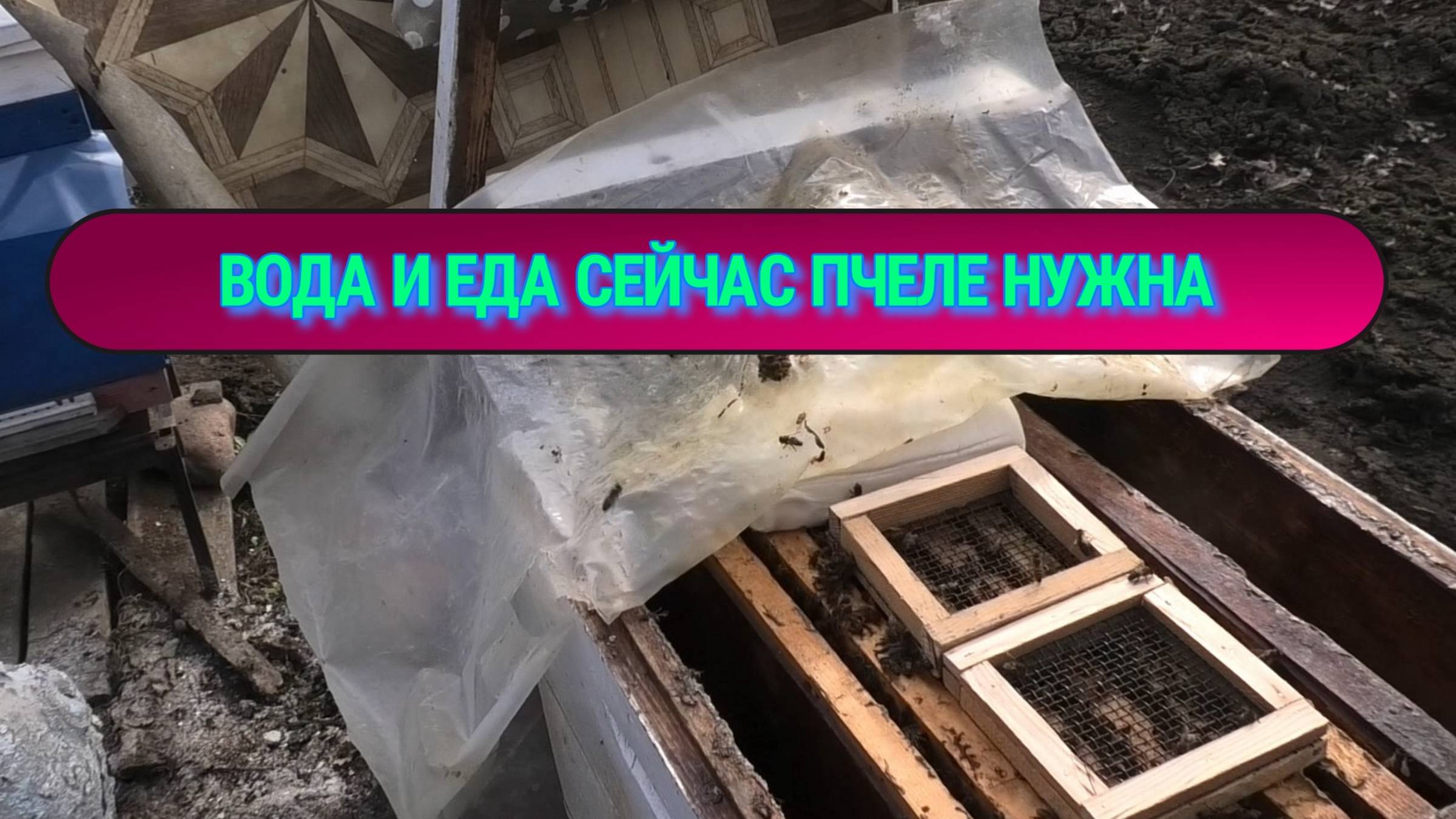 Осмотр семей. смотреть онлайн