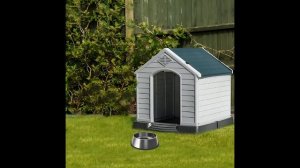 Baby Banana Cat Compilation 😺❤️ 2 Minutes #58