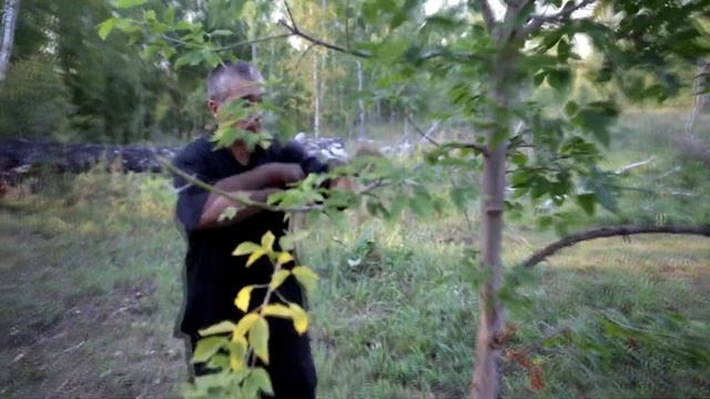 Видеообзор - тренировка с деревом смотреть онлайн