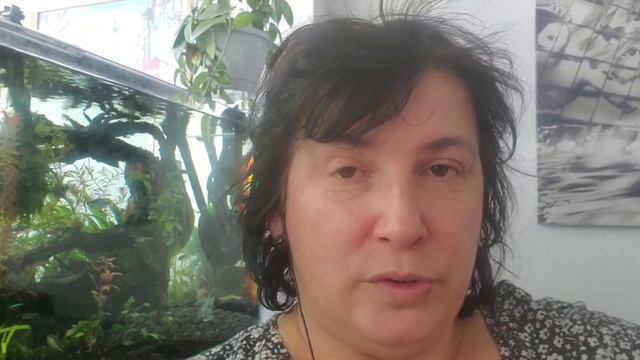 Отзыв о работе. смотреть онлайн