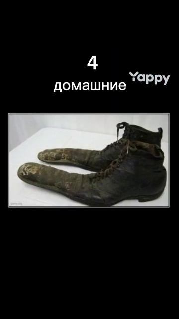 ТОП БАРХАТНЫХ ТЯГ! #а4 #кошки #мем #мемы #смех #тикток #юмор смотреть онлайн