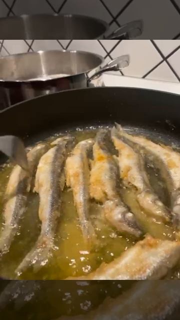 8dafa2d6-78a1-43b8-8f4e-5a10d315dd73