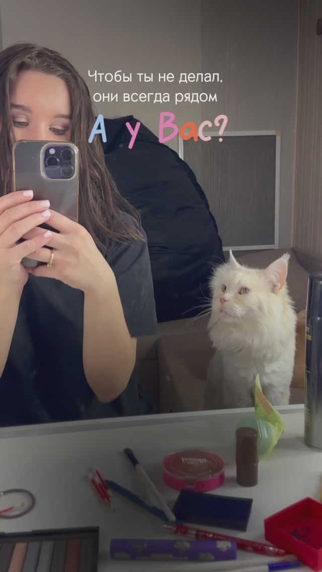 Наши питомцы всегда на контроле наших действий