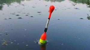 РЫБАЛКА НА ЛЕСНОМ ОЗЕРЕ ПОПЛАВОЧНОЙ УДОЧКОЙ