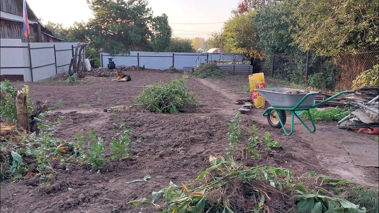 Уборка Нового участка