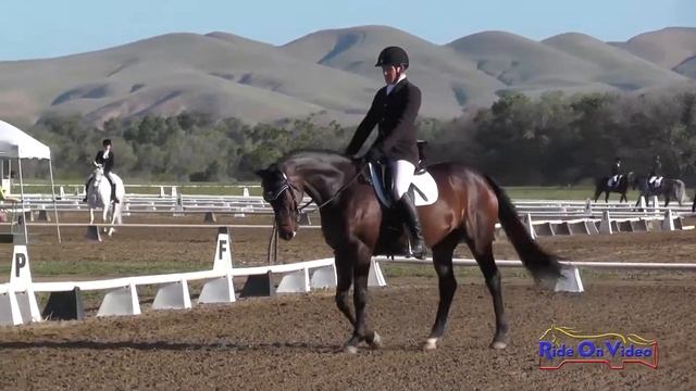 045D Attila Rajnai on Harry Houdini Intermediate Dressage Twin Rivers Ranch April 2017 смотреть онлайн