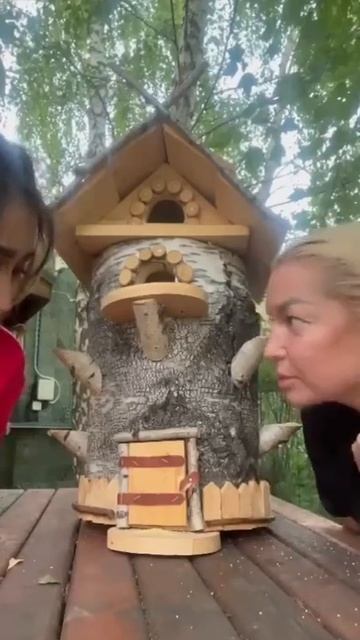 Волочкова купила скворечник или кормушку #shorts #shortvideo #волочкова #анастасияволочкова смотреть онлайн