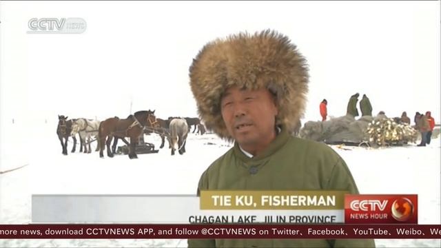 US$120,000 for a fish? The prized, auspicious symbols caught in NE China ice fishing смотреть онлайн