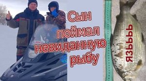 Рыбалка на Ульмице. Сухое море. Белое море. Ловим сига.