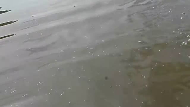 попалась щучка смотреть онлайн