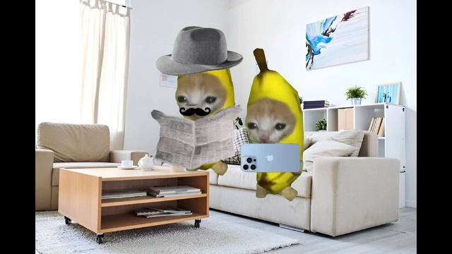 Banana Cat Crying And Happy Cat Compilation, Cry Videos #catmemes #bananacat #happycat #fyp