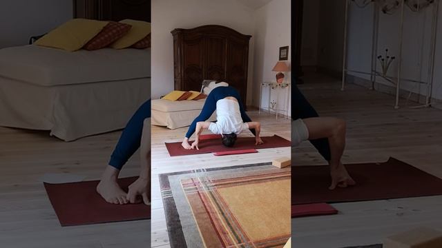 Surya Namaskaram, anjaneyasana, sirsasana et variations,anandabalasana à hanumanasana. Nadi shodhan смотреть онлайн