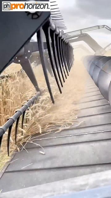 FENDT 10T BIG BLACK COMBINE HARVESTER #harvest2023 #agriculture смотреть онлайн