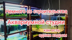 Работа со студии аквариумистики одним кадром!