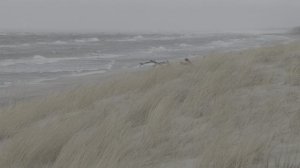 Видеосъёмка в LOG, Xiaomi 15 Ultra