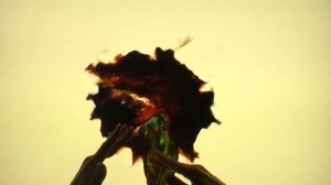 Spring will come - Sand animation by Olga Radzetskaya